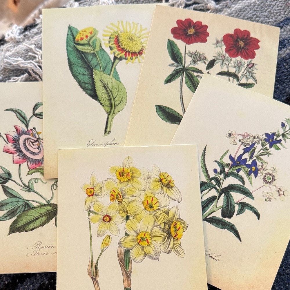 5 Botanical Note Cards